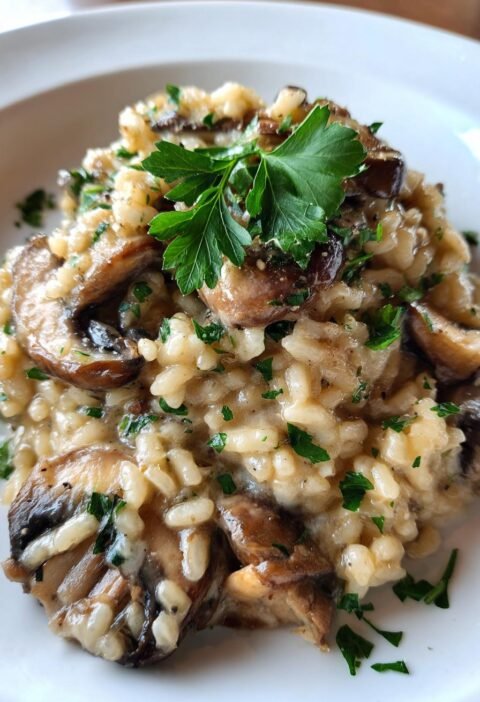 Creamy mushroom risotto
