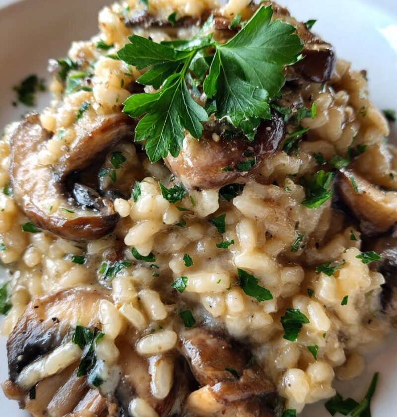 Creamy mushroom risotto